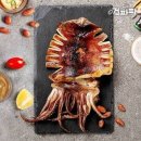 입파지 이미지