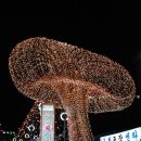 동래온천 이미지