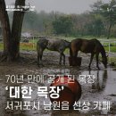 70년 만에 공개된 제주도 목장 그리고 신상 카페 대한 목장을 소개합니다.