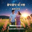 미니:다양한 트로트 이미지