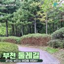숲속바다