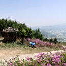 아영중학교 | 남원 봉화산(복성이재~대안리)