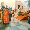 (주)아모스 이미지