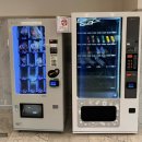 팜파스 | 제주 팜파스호텔 내돈내산 트윈룸 후기