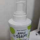 클린앤워시 | 은은한 사과향 더프트앤도프트신상 퍼퓸드 클린 핸드워시 애플소피 후기