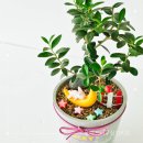 왕방초등학교 이미지