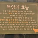 청계숲양대창 (강남직영점) 이미지