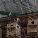 주주농장 이미지