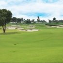 이글골프클럽 이미지