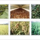 이엠축산 이미지