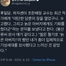 우영우 작가가 18살 때 고등학교를 자퇴하며 쓴 글 ＜학교는 늙은 아버지 같다＞ 이미지