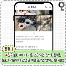 주단미의 컴백이랄까