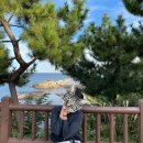 승민칼국수 | 2022.10.01 - 2022.10.15