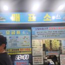 좋으면 단양 | 단양 여행 필수코스! 도담삼봉 유람선 타고 남한강 위에서 만난 절경 후기