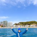 대교회도매시장 | 후쿠오카 근교 소도시 여행 야마구치 시모노세키 가볼만한곳