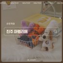세븐일레븐 진주초전점 | 진주 아이랑공방체험 원데이클래스,초전동 마멜리에 모루인형후기
