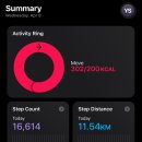 우리마을공원에는누가살까? | 🇩🇪 독일 첼레 여행 / 하노버 근교 소도시 / 젤라또 맛집