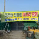 실왕리농원 네이버블로그