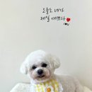 아뜰리에 멍 이미지