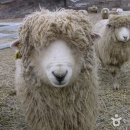 의야지바람마을 이미지