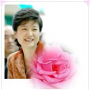 박근혜와 롬멜 원수 이미지