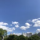 요즘 날씨가 좋아요
