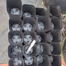 희석목장 이미지