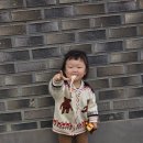 보니토J 이미지