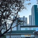 안산시니어클럽카페화랑