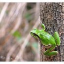 가덕초등학교 이미지