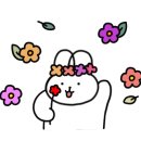 럭키식육 이미지