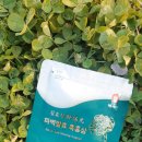 진솔 홍삼원