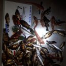 통영펜션하늘채 이미지