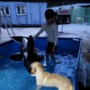 휴먼앤독 이미지