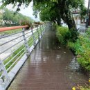 내나이가어때서 한의원 이미지