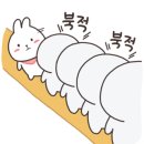 부엉이돈가스스타필드 이미지