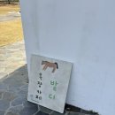 상하평화목장 | [제주/표선 내돈내산] ‘목장카페 밭디’ : 말이 뛰노는 풍경 속 힐링, 아이스크림 라떼 맛집, 셀프웨딩...