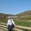 대관령목장 이미지