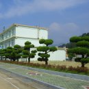 초동중학교 이미지