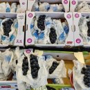 오부자청과 이미지