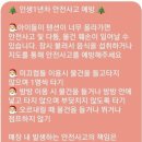 인생1년차