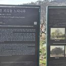 서낭 이미지