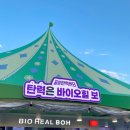 2025 올리브영 페스타 부스별 후기 + 게임 정보