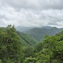 별스런 산책 네이버블로그