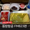 FM | [중국 상해 여행] 홍차오 공항-김포 동방항공 FM823 탑승 후기 (체크인 터미널 수하물 기내식)