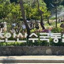 벌천천 | 여름에 피는 꽃 수국 명소 서울 초안산 수국동산 방문 후기 및 주차장과 가는길 소개