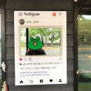 카페리히트