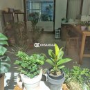 오케이상가동영부동산중개사무소 이미지