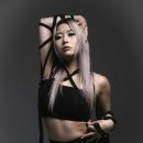스트리트 헤럴드경제