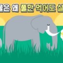 오늘보울 이미지